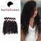 アフリカの黒人女性のためのねじれた巻き毛のミンク 100% のペルーの人間の毛髪延長 サプライヤー